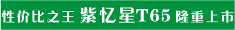 紫忆星T65 4.3寸带FM发射 团购促销价799 送4G卡